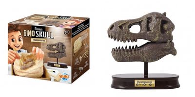 Kit de fouille T-Rex Museum Skull - Buki